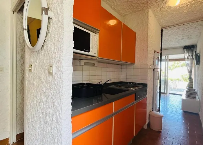 Cocody 84 * Lumio (Corsica)